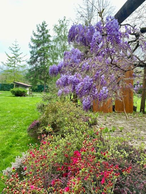 Villa Giulia - Argentera Peveragno ภายนอก รูปภาพ