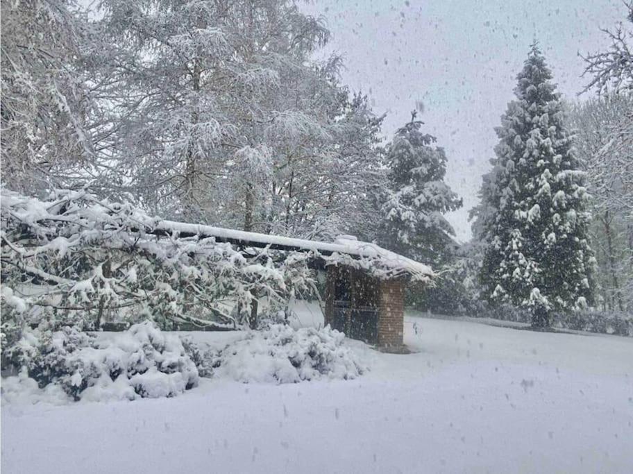 Villa Giulia - Argentera Peveragno ภายนอก รูปภาพ