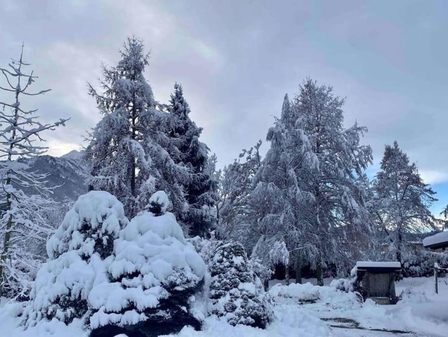 Villa Giulia - Argentera Peveragno ภายนอก รูปภาพ
